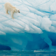 GLACIERS1